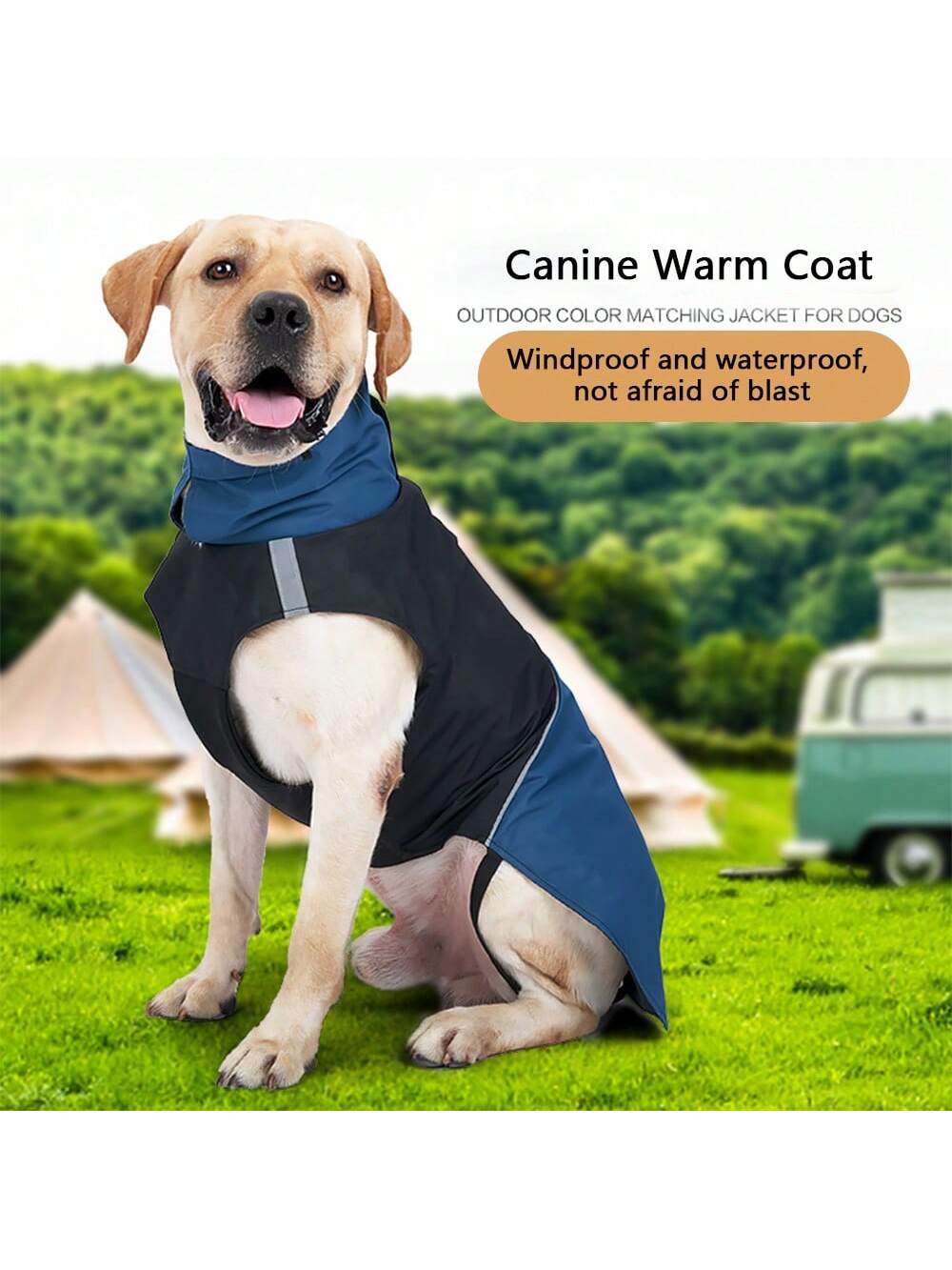 Outdoor Camping Vest - Jaket Anjing Tahan Angin dan Air,